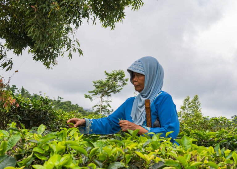 Indonesian women