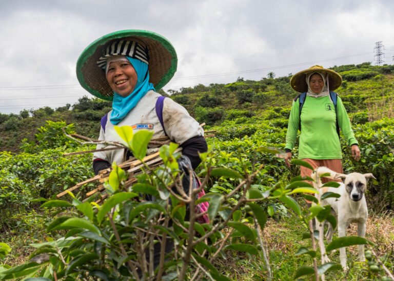 Indonesian women